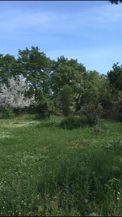 Vila Il Casale Del Popolo Barbarano Romano Exteriér fotografie